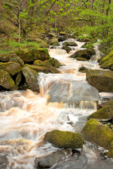 Fototapeta premium Padley Gorge in the Peak District