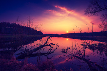 Fototapety na wymiar - Fototapeta24.pl