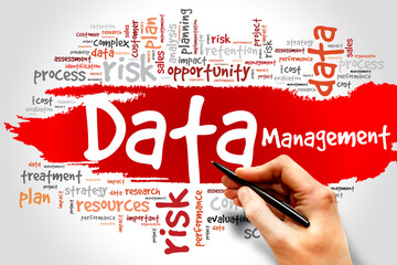 Data Management word cloud concept
