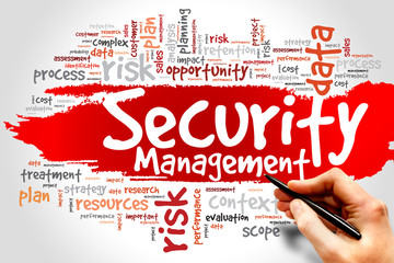 Security Management word cloud, business concept