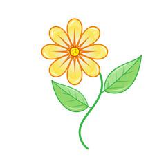 flower isolated illustration