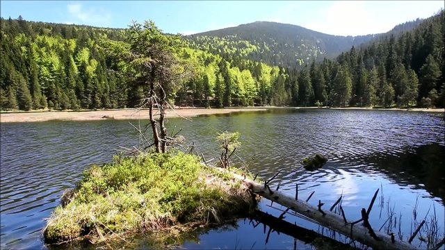 Arbersee