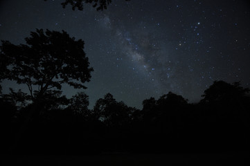 Fototapeta na wymiar Night sky with the Milky Way over the forest and trees 