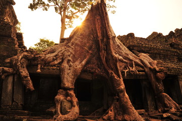 Angkor Temple of Preah Khan in Cambodia