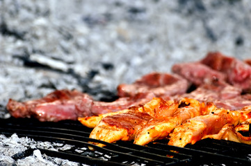 Grilled meat on embers,detail