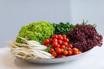 Bunter großer Gemüsekorb mit Tomaten, Salaten und Rettich.