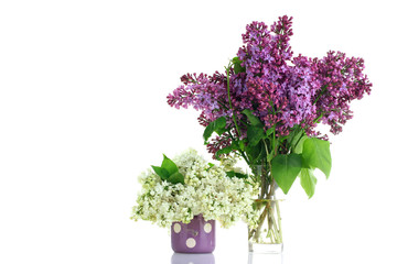 Lilacs in a glass vase and isolated