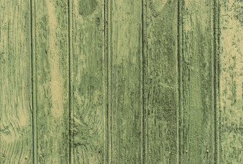 Fototapeta na wymiar Wood wall green - background empty