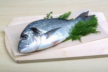 Raw dorado