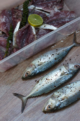 Fresh tuna ready for cooking