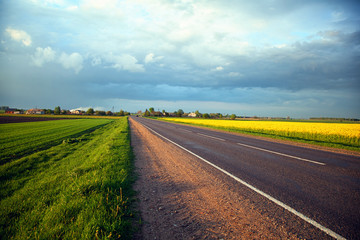 Fields with flowering buckwheat along the motorway