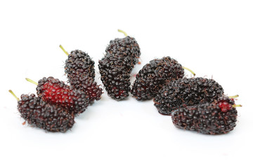 mulberry isolated on white background.