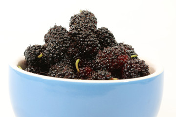 mulberry isolated on white background.