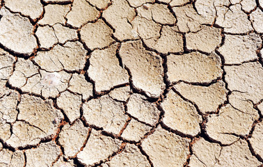 Climate change, drought, dry land