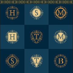 Monogram design elements, graceful template. Elegant line art