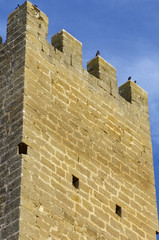 Sadaba castle