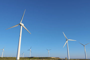 wind energy