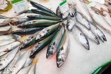 Pesce fresco pescato su un banco al mercato