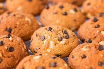 Golden brown, chocolate chip cookies cooling on a rack, selectiv