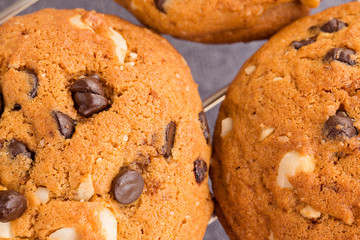 Macro shot of two chocolate chip cookies, selective focus, top v