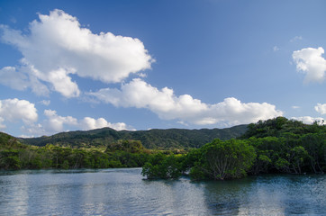 沖縄県　石垣島　吹通川