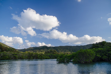 沖縄県　石垣島　吹通川