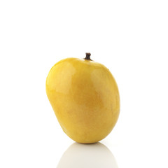 Golden Yellow Alphonso Mango.