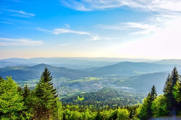 Naklejka premium Panorama bayer. Wald