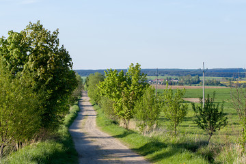 Obraz premium rural road on Beautiful spring rural landscape