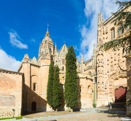 Fototapeta na wymiar Cathedral of Salamanca in sunny day