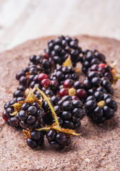 Blackberries on of the field stone