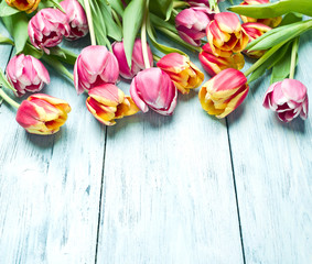 Pink and red tulips on a wooden background.