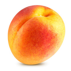 Apricot