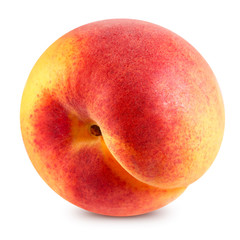 Apricot