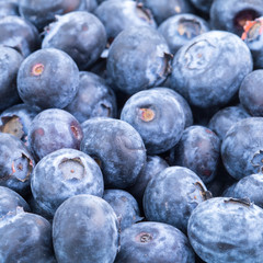 blueberries