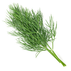 dill