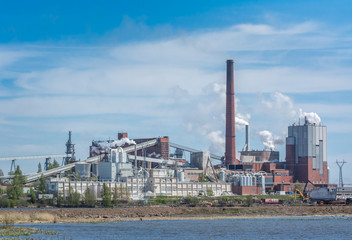 Fototapeta premium Pulp mill