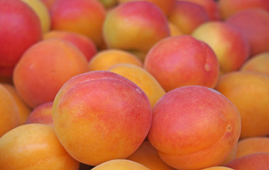 Fresh apricots at street market