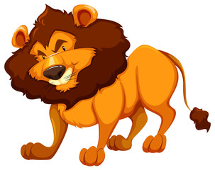 A lion