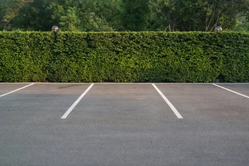 Foto op Canvas Empty parking lot with foliage wall in the background © oppdowngalon