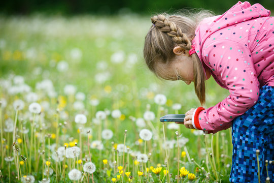 Little Girl Exploring Nature With Her Smart Phone