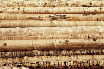 Holzpolter