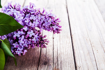 Beautiful lilac on office desk 