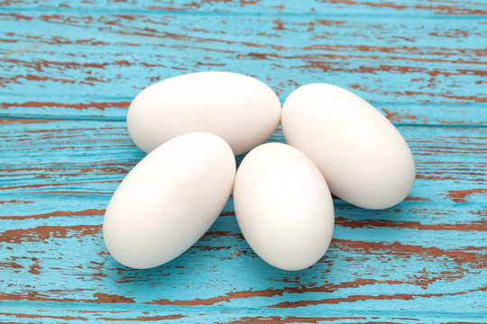 Crocodile Alligator Eggs Group Still Life