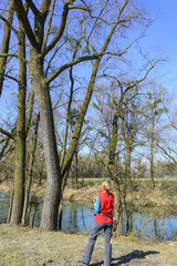 Sichtkontrolle bei der Baumbegutachtung