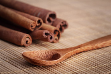 Cinnamon and wooden spoon