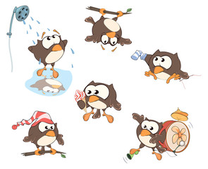 Set of cute owls for you design.  Cartoon 