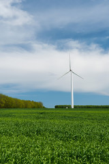 Green field of wheat and wind turbines generating electricity