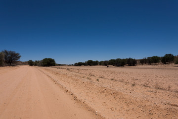 Kgalagadi