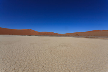 Hidden Vlei